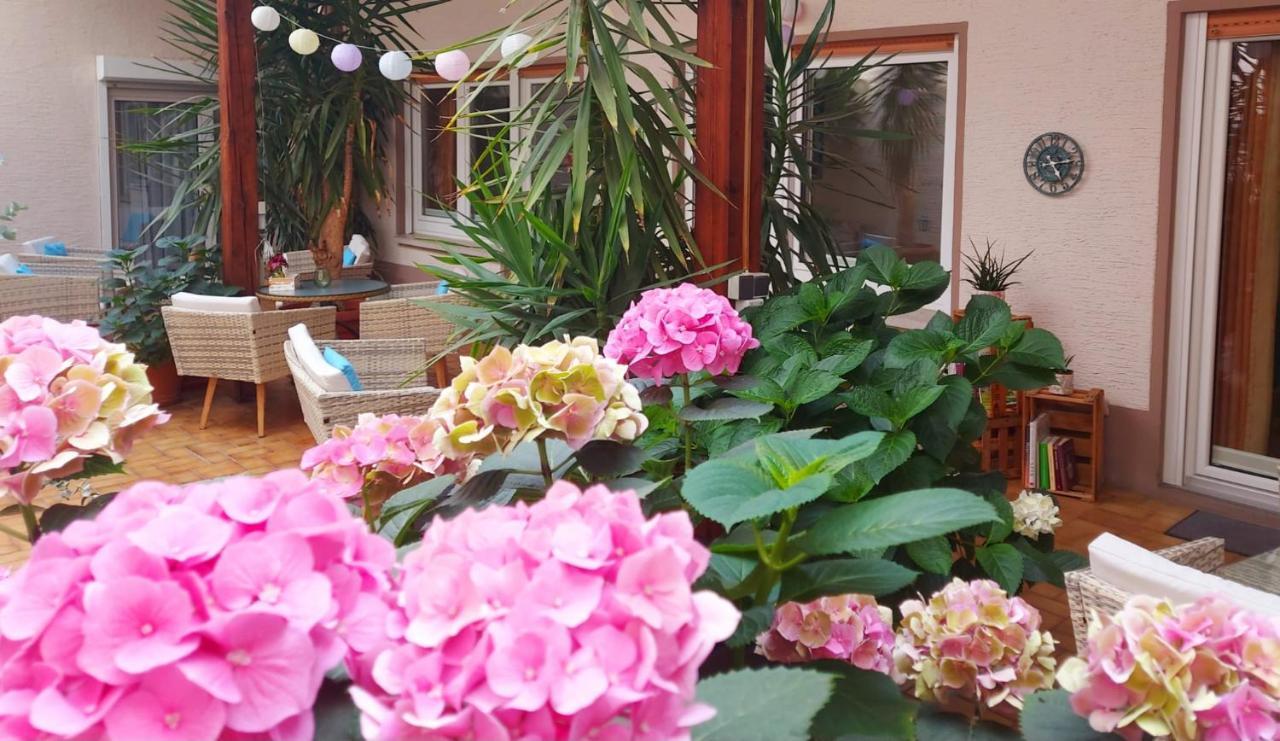 Gaestehaus Roehm Ilbesheim bei Landau in der Pfalz Екстериор снимка